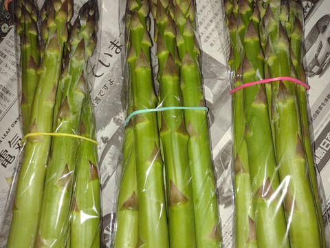 【5月末まで 1日1箱限定】アグリットのアスパラ極太セット900g