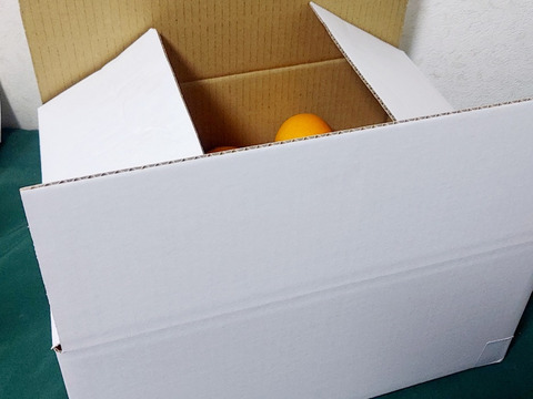 甘くて果汁たっぷりプレミアムなみかん「せとか」家庭用３キロ　ハウス栽培