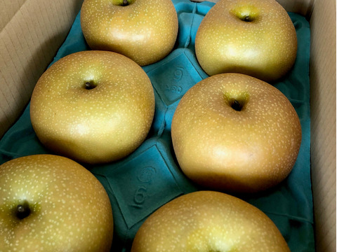 【極美味】りんご屋さん自慢の梨！『秋月』3キロ箱満杯詰