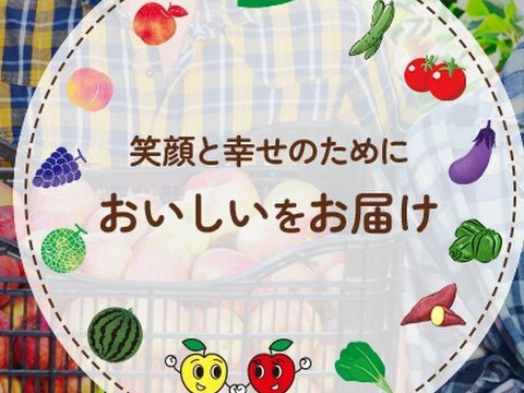 まるごとガブリっ！小玉・食べきりサイズMIXりんご【岩手奥州市江刺産】              小玉おまかせミックス2kg
