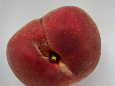 【家庭用】山梨県産　なつっこ　8~9玉