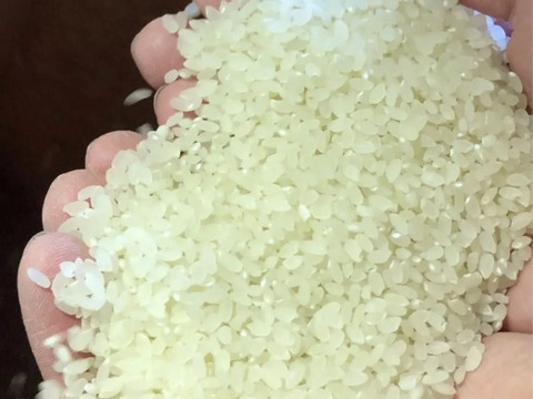 【7年産】本場宮城県産ひとめぼれ　精米15Kg 農薬を控えて栽培