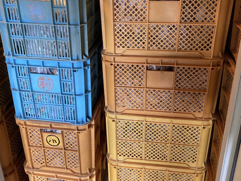 高知県　ごんげん畑の囲い生姜2キロ