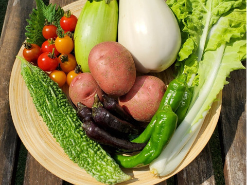 テーマは『カラフル&珍しい』野菜セット(野菜6種類入り)農薬・化学肥料不使用