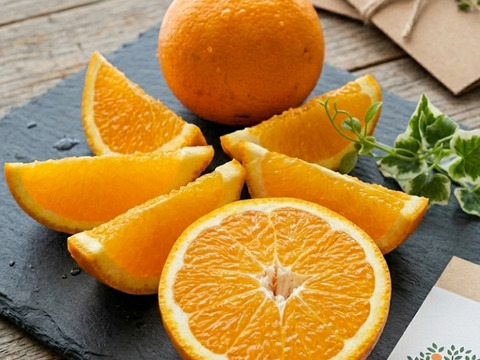 3月）春爛漫よくばりセット