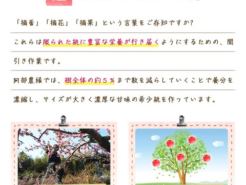 【桃の予約】福島の完熟もも　品種おまかせ2ｋｇ（6～9玉）　ギフト・贈答用に【7月下旬～8月中旬お届け】