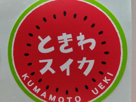 完熟　小玉すいか　1玉箱入り