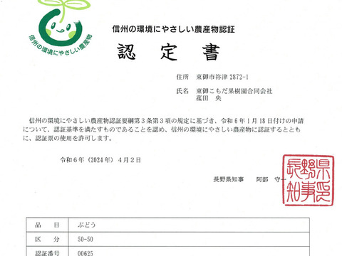 大粒なのにこんなに甘い★クイーンニーナ4㎏（6～14房）※長野県認証/農薬節減栽培（信州の環境にやさしい農産物認証）
