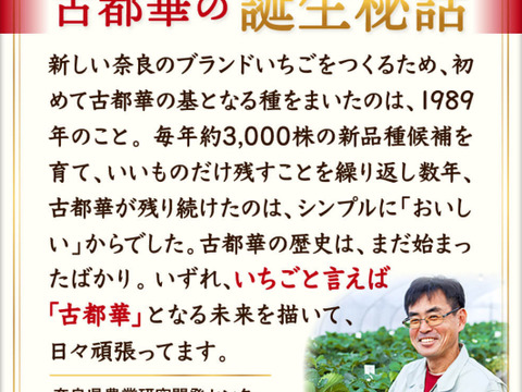 【いちご】奈良ブランド「古都華」超特大（12粒）　平均糖度１５度　いちご　苺