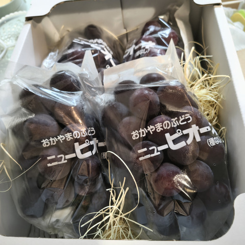 クール便発送】ニューピオーネ 岡山産 家庭用 2kg 約4房～6房 種なし