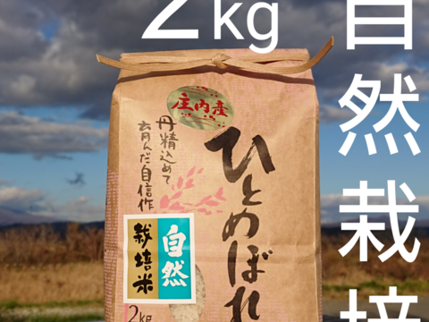 【 無洗米 ・2kg 】米の旨味たっぷり 自然栽培米 ひとめぼれ
