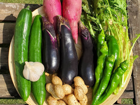 テーマは『優しさ』旬の野菜セット(野菜7種類以上)農薬・化学肥料不使用