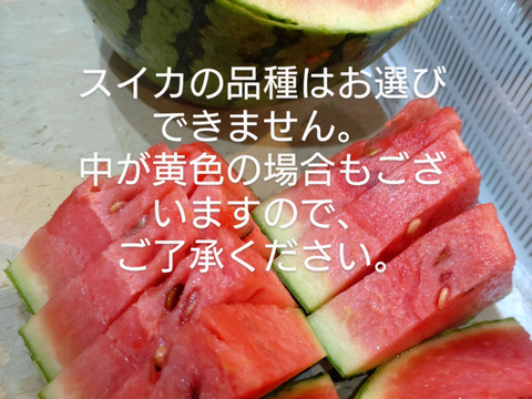 【単品🏣ゆうパック】☆２玉セット☆２個入り☆スイカ🍉２キロ〜３キロサイズ☆小玉☆Sサイズ☆農薬、除草剤、化学肥料不使用🏣ゆうパック