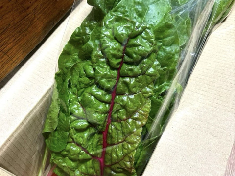 彩り鮮やかスイスチャード　130g×6個セット