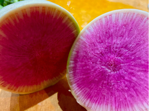 太陽の恵みをめいっぱい！季節の野菜セット【10品目】＃栽培期間中農薬・化学肥料不使用