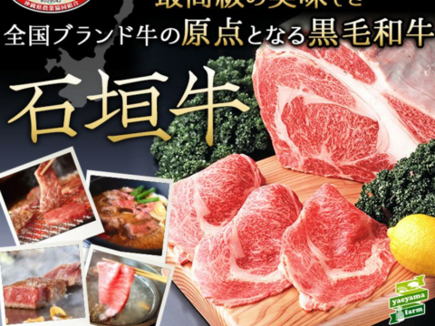 【石垣牛100％使用！】石垣牛ハンバーグ　120g×2個