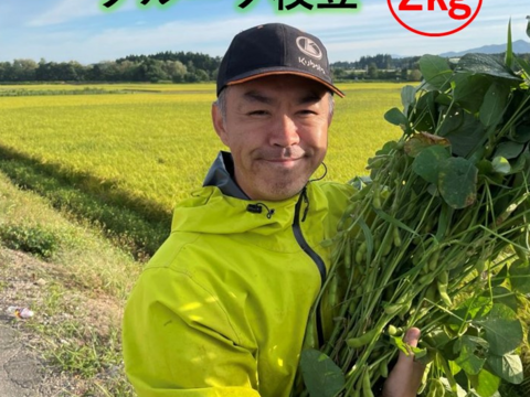 【毎朝収穫中！】枝豆 えだまめ フルーツ枝豆 2kg 秋田県産 横手市産 まるで果物！甘くておいしい 産地直送 農家直送 朝穫れ