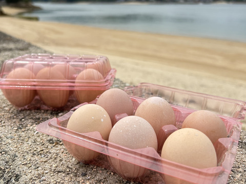 【『究極の玉子かけご飯』のための玉子 】瀬戸内の太陽をあびて育った”コーチン種” 10個入り2パック  平飼有精卵の『島たまご』！たまごのプリプリ感が凄い！！