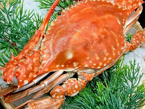 【父の日ギフト】浜名湖海鮮詰め合わせ【松セット
】