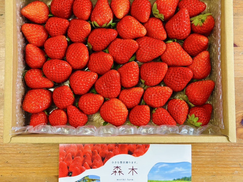 濃く甘いちご【紅ほっぺ】1000ｇ以上　◇朝どれ完熟保証◇