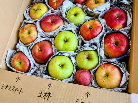 季節のリンゴ食べくらべ　訳あり家庭用（約4.5㎏）10～20玉
サンふじ、ゴールド、グラニーなど、2種類からお届け　
大きさ、形やキズなどで贈答用になれなかったりんごたちをバラ詰めで　信州長野県産