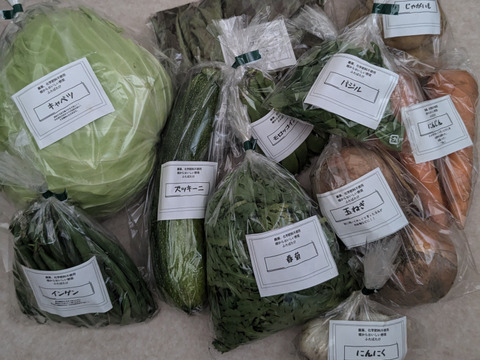 ふたばたけ　畑から直送！　農薬不使用！　旬のこだわり野菜セット　７～１０種類