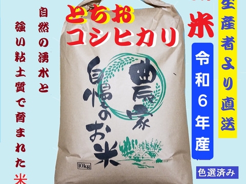 令和6年産－新潟・とちお産コシヒカリ】豊かな山の湧水で育てたお米 