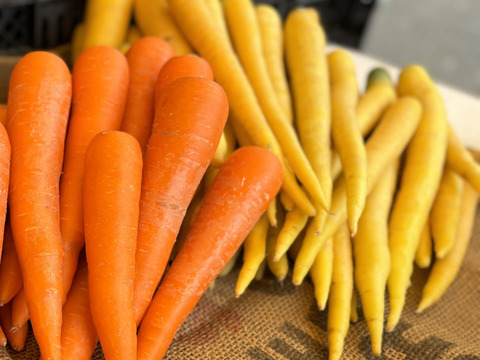 【彩り野菜で毎日の食卓に】カラフルにんじん＆じゃがいも詰め合わせセット