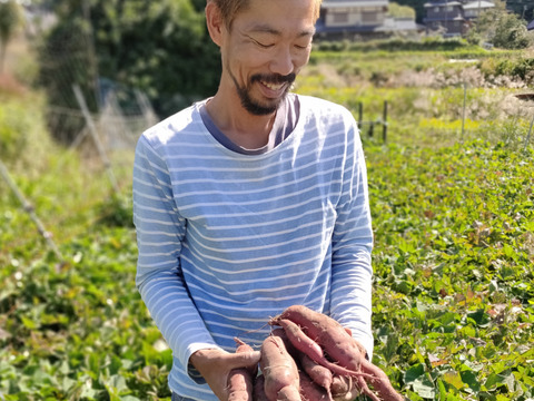 【有機JASシルクスイート5kg】追熟完了❣️絹のようななめらか食感、ねっとりとして甘味最高な大人気品種！スイートポテト、蒸し芋、干し芋、大学芋など！おやつづくりから離乳食まで！家族が喜ぶ美味しさ‼️