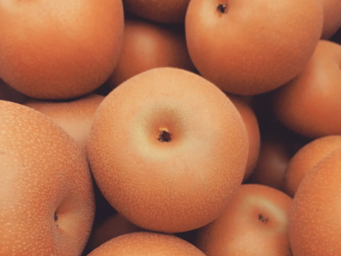 上品な甘さ♪果汁たっぷりのあきづき梨5kg【規格外】