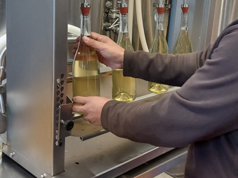 茨城県産　赤と白ワイン合計２本セット 2025年