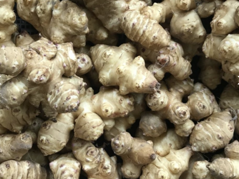 【食べ過ぎに！】腸活サプリに！　オーガニック菊芋粉（50g）×３袋セット