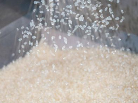 【福袋】🎍売れ切れ御免‼️限定100セット🎯令和7年新潟県五泉市四ケ村産 ✨️三種の神米食べ比べセット🌾🎯コシヒカリ、新之助、いのちの壱。各2kg入  ×3  🍚6kg白米 福袋限定商品✨️