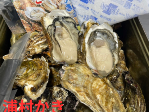 【生牡蠣】【生食用】三重県産 浦村かき カンカン焼き×2缶（1缶あたり 殻付き Mサイズ牡蠣 約40個前後、約4キロ入り）
牡蠣 カキ 貝類 海鮮 BBQ お歳暮 熨斗対応　海のミルク【冬ギフト】