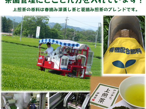 ◎送料込み◎お得用◎お茶屋が茶工場で毎日飲んでる緑茶