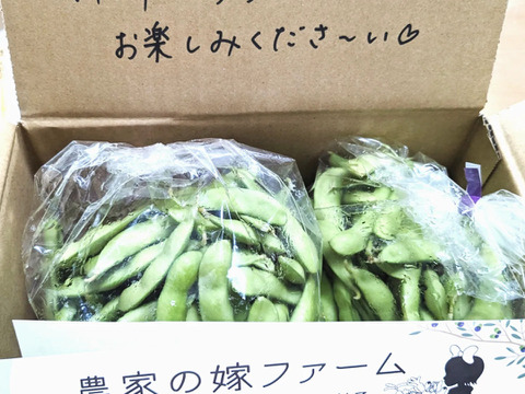 【1kg】『肴豆』嫁ぎ先募集中♡枝豆王国新潟から☆まめ〜！枝豆！うんめよ(^^)