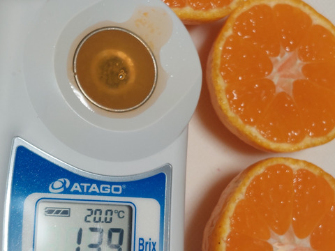 最高みかん【小玉】3.3 kg（箱込)