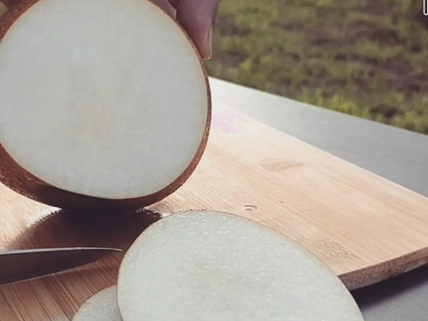 【加工用】日本梨！新高！優しい甘さとシャキッとハードな食感