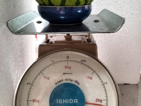 兵庫産 訳あり 黄金羅皇　TVで大人気　中玉スイカ1玉　ご家庭用④