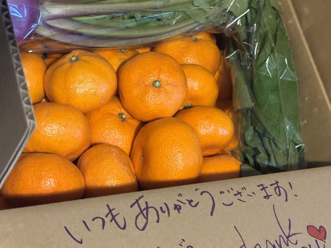うのにもお得な情報満載！ 訳あり品 果物