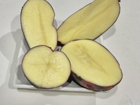 デストロイヤー！！（グラウンドペチカ）2キロ