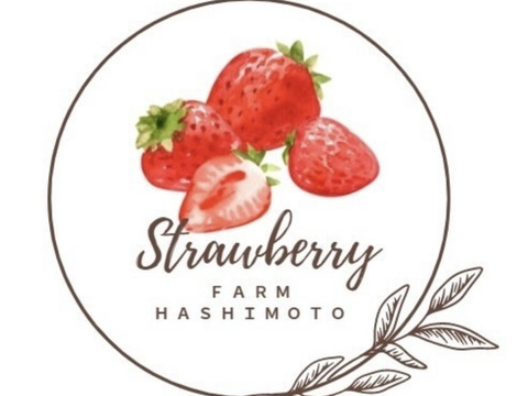 小さめサイズ　古都華　M  260g×2パック　橋本農園　奈良県　いちご