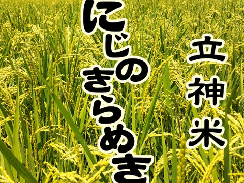 金賞受賞農家が作る家庭用米　【立神米にじのきらめき】　5キロ