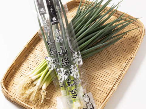 ～4代続くねぎ農家の逸品～　京都山城のねぎと国産しらすピザ 1枚