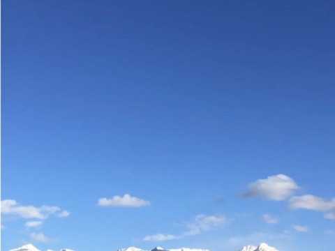 令和7年度産うるち米（コシヒカリ）【玄米粉】グルテンフリー！我が家で育てた農薬・化学肥料不使用玄米の玄米粉 1kg