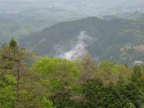 自然栽培！奈良県山添の『ゆず』6kg