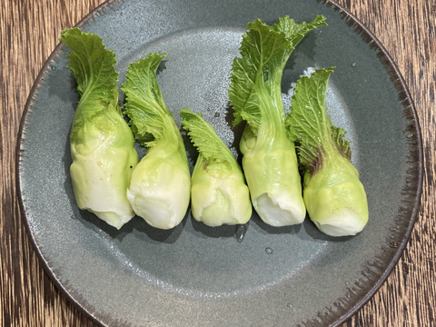 【良好品】 富山県産 祝蕾 子持ち高菜 4パック：富山県産のその他葉物野菜 野菜