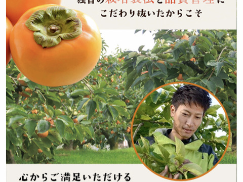 【冬ギフトお歳暮用！】長生き次郎柿『長寿郎』大きい3Lサイズ6玉入り