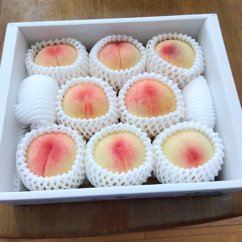 岡山白鳳2キロ箱８個入り⑵ ご家庭用】白鳳（2kg箱）：岡山県産の白桃｜食べチョク｜産地