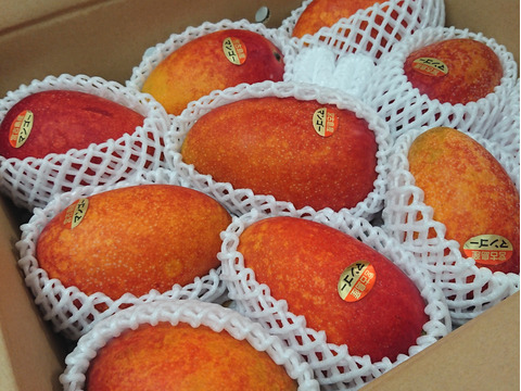 宮古島産マンゴー（ご家庭用4kg／8〜10玉）【沖縄・宮古島産